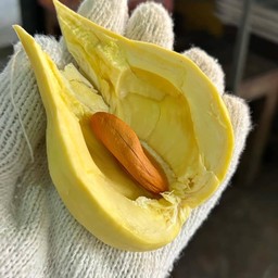 ทุเรียนเจ้าสัวน้อย พัทยากลาง