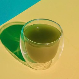 Green Tea (Hot)