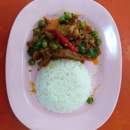 ข้าวราดผัดเผ็ดหมูป่า