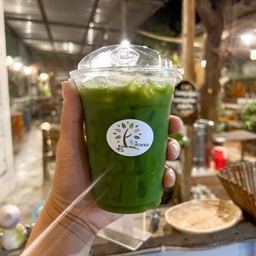 เพียวมัจฉะ