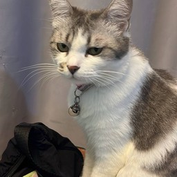 พนักงานต้อนรับซอมบี้