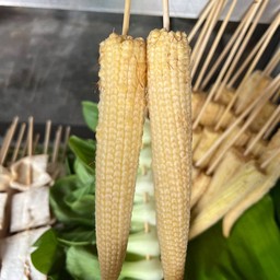 ข้าวโพดอ่อน