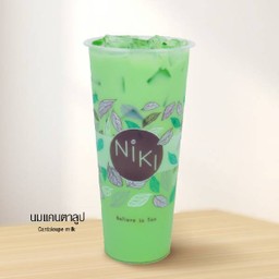 นมแคนตาลูป