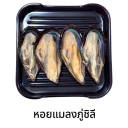 หอยแมลงภู่ชิลี