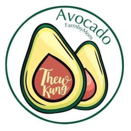แม่ปลูกลูกขาย -ลำพูน Avocado farm by mom ปตท.เหมืองง่า