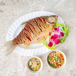 ปลาตะเพียนทองสองสหาย