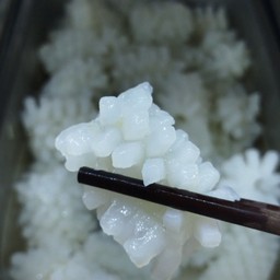 หมึกบั้งง!!