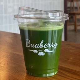 Okumidori Ceremonial Matcha (Pure)