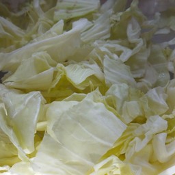 กะหล่ำปลี เดือน วัน