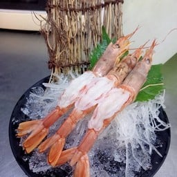กุ้งหวานชาชิมิ