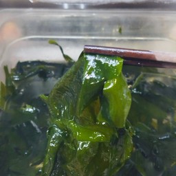 สาหร่ายวากา อะนิเมะ