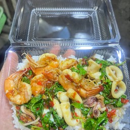 กะเพราทะเล