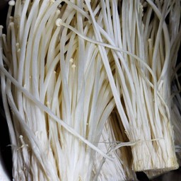 เห็ดเข็มทอง