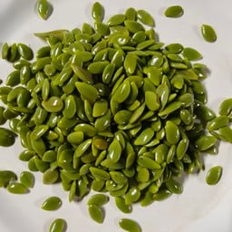 เม็ดกระถิน