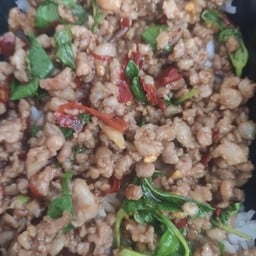 กะเพราหมูสับ ราดข้าว
