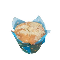 บลูเบอร์รี่มัฟฟินครัมเบิล