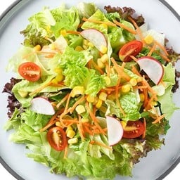 Garden Salad