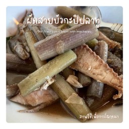 ผัดสายบัวกะปิปลาทู
