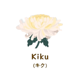 Kiku Clear matcha (Organic)