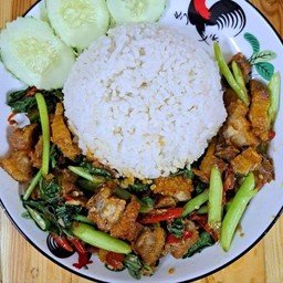 ข้าวผัดคะน้าหมูกรอบ