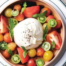 Burrata & Tomato