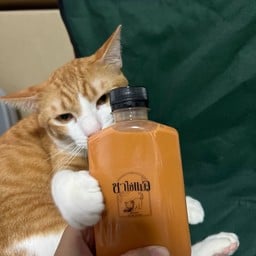 3 ขวดคละรสได้