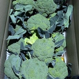 ผักเขียวจอมพลัง