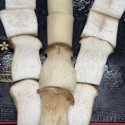 เห็ดออรินจิ