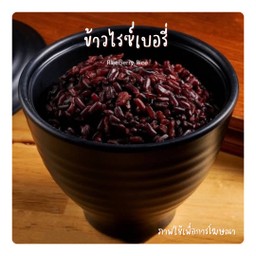 ข้าวไรซ์เบอรี่