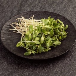 ต้นอ่อนทานตะวัน