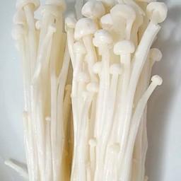 เห็ดเข็มทอง 50 กรัม