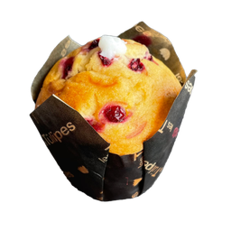 Cranberry Yoghurt Muffins