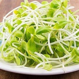 ต้นอ่อนทานตะวัน 50 กรัม