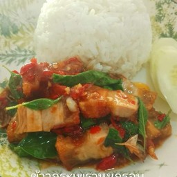 ข้าวกระเพราหมูกรอบ