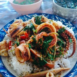 ข้าว-กะเพราปลาหมึก