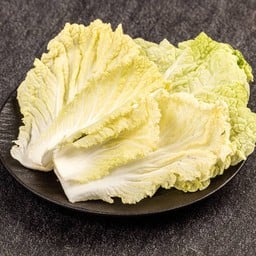 ผักกาด