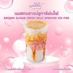นมสด ฮอกไกโด บราวน์ชูก้า พ่นไฟ Deli