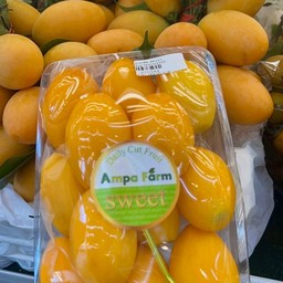 มะยงชิดพร้อมทาน