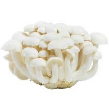 เห็ดหลินขาว 50 กรัม