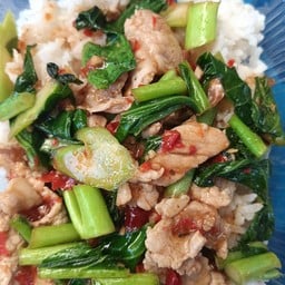 กระเพราจิ๊บจ๊อยร้านดาวตามสั่ง