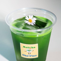 Matcha elderflowers honey fizz  14 Oz.