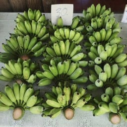 กล้วยน้ำว้า หวีละ 25 บาท