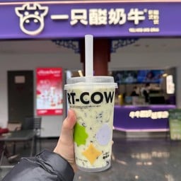 Yogurt Cow Kuixinglou