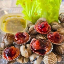 ผู้ชายขายหอย