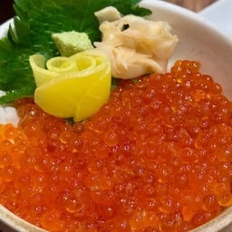 ข้าวหน้าไข่ปลาแซลมอน Ikura Don