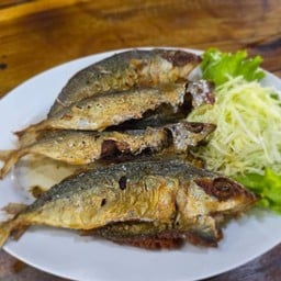 ปลาทูแดดเดียวทอดน้ำปลา