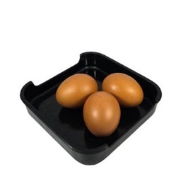 ไข่ไก่