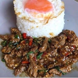 กะเพราเนื้อราดข้าว
