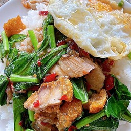 ข้าวคะน้าหมูกรอบ ราดข้าว