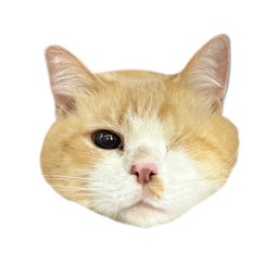 น้องปิ้กกี้